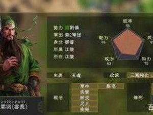 三国时代顶尖玩家揭秘，资源管理策略与心得分享